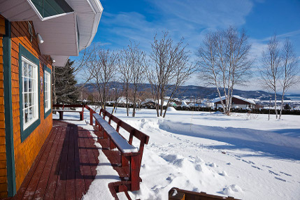 Vue d'hiver